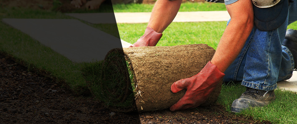 Fairhope Landscapers
